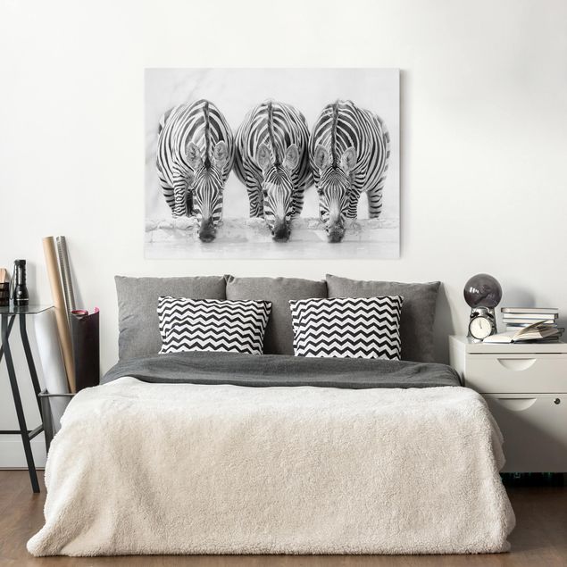 Obrazy do salonu nowoczesne Zebra Trio czarno-biała