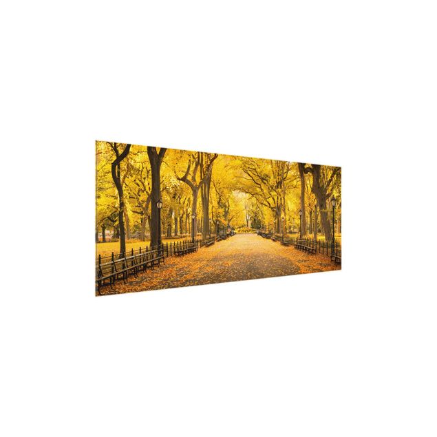 Obrazy na szkle panorama Jesień w Central Parku