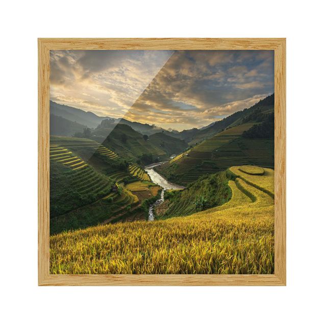 Obrazy w ramie do łazienki Plantacje ryżu w Wietnamie