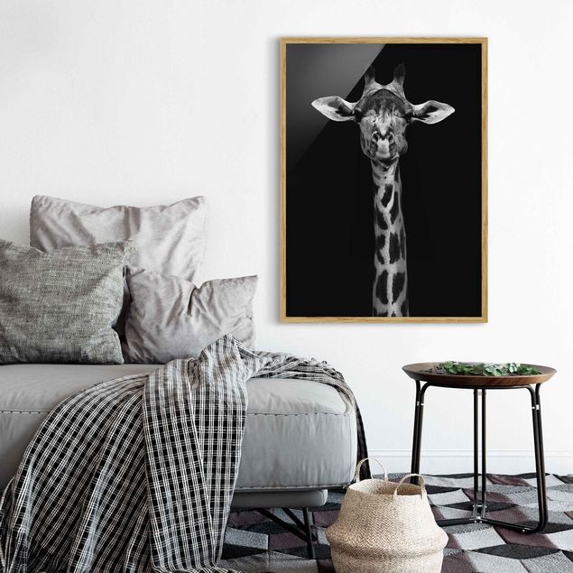 Obrazy w ramie do korytarzu Portret ciemnej żyrafy