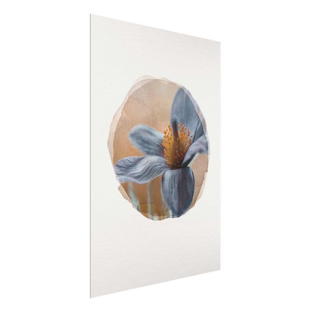 Obrazy do salonu nowoczesne Akwarele - Dzwonek krowi w kolorze niebieskim