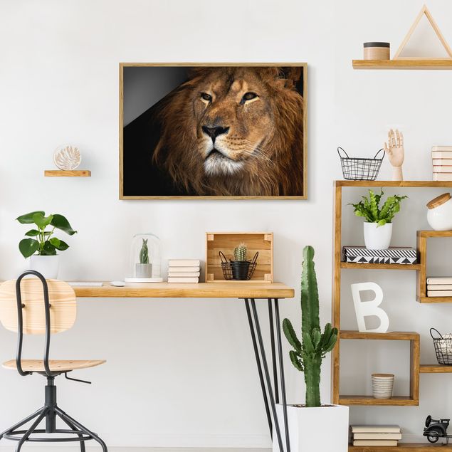Obrazy w ramie do łazienki Widok lwa