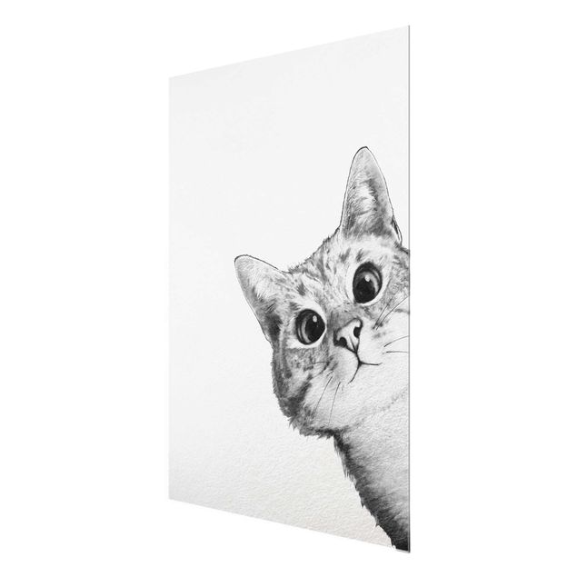 Obrazy koty Ilustracja kota Rysunek czarno-biały