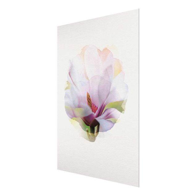Obrazy motywy kwiatowe Akwarele - Delikatny kwiat magnolii