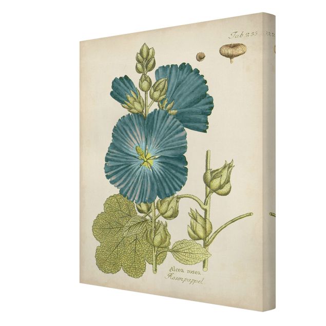 Obraz z niebieskim Botanika w stylu vintage z topolą z niebieską różą