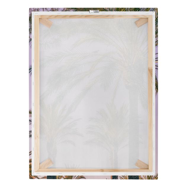 Obrazy z motywem kwiatowym Palmy w promieniach zachodzącego słońca