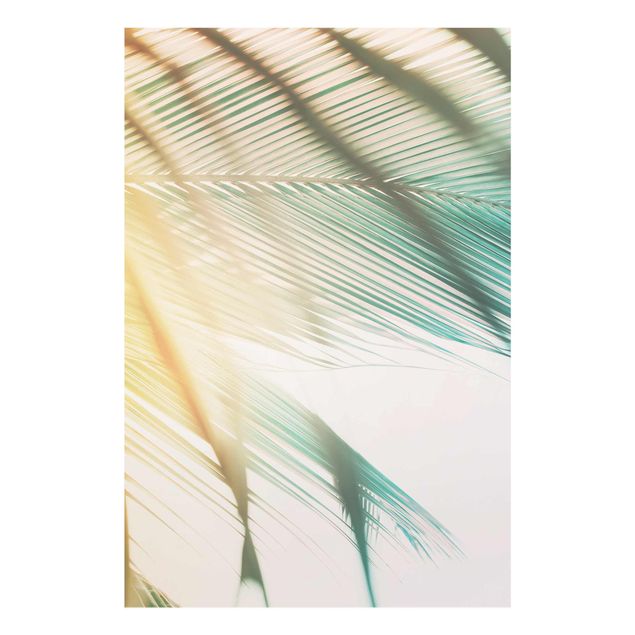 Obrazy nowoczesne Rośliny tropikalne Palmy o zachodzie słońca II