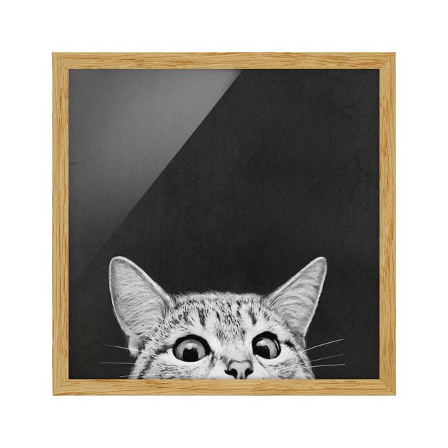 Obrazy w ramie do łazienki Ilustracja kot czarno-biały rysunek