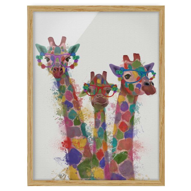Obrazy w ramie zwierzęta Rainbow Splash Żyrafa Trio