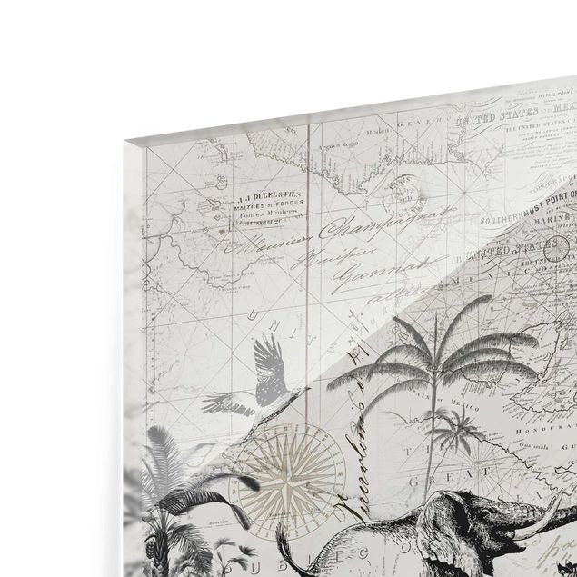 Zebra obraz Kolaż w stylu vintage - egzotyczna mapa