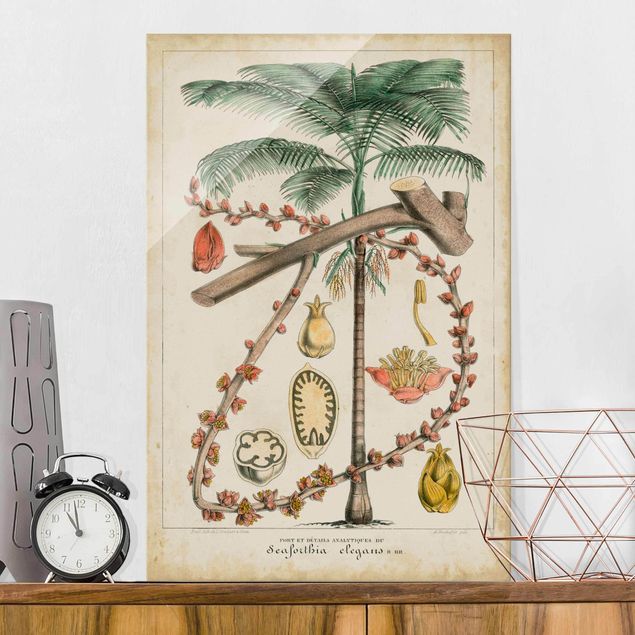 Dekoracja do kuchni Tablica edukacyjna w stylu vintage Palmy egzotyczne II
