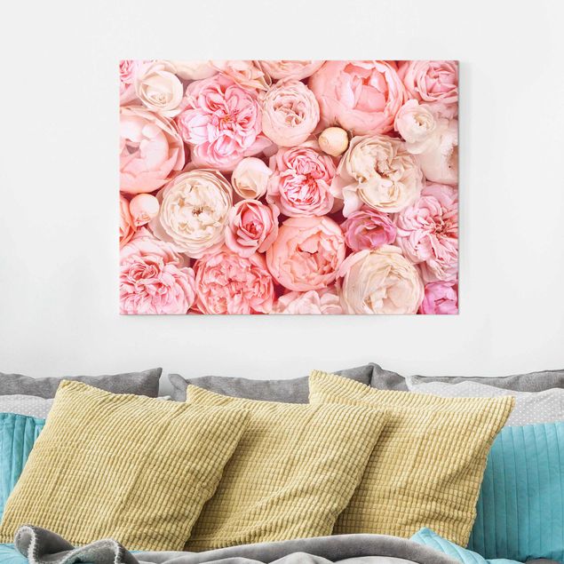 Obrazy Rosy Rosé Coral Shabby