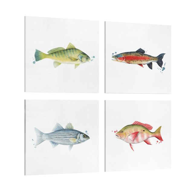 Obrazy na płótnie zwierzęta Kolorowy połów - zestaw ryb I