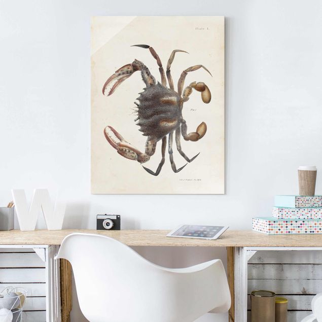Nowoczesne obrazy do salonu Ilustracja w stylu vintage przedstawiająca kraba
