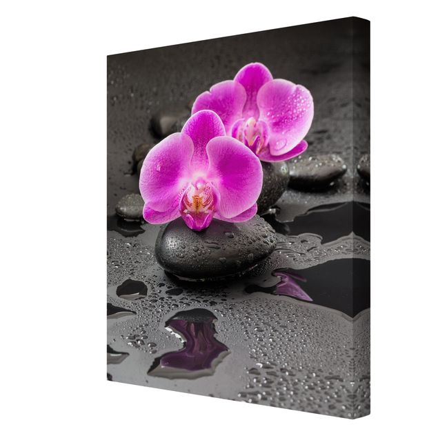 Obrazy nowoczesne Kwiaty różowej orchidei na kamieniach z kroplami