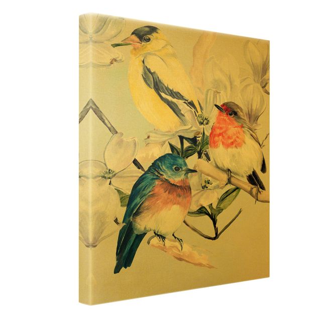 Obrazy drukowane na płótnie Kolorowe ptaki na gałązce magnolii II