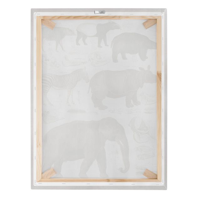 Obrazy retro Tablica edukacyjna w stylu vintage Słonie, zebry i nosorożce