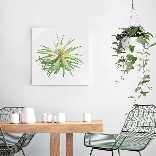 Obrazy do salonu Akwarela z roślinami powietrznymi III