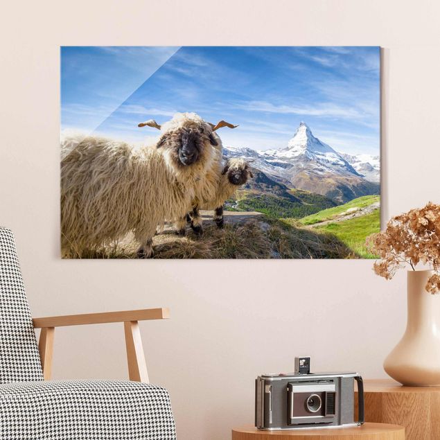 Obrazy na szkle architektura i horyzont Czarnonose owce z Zermatt