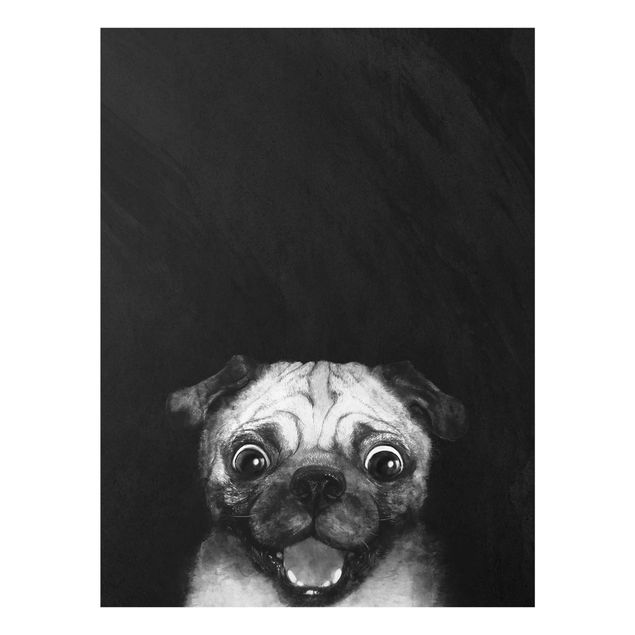 Obrazy na szkle zwierzęta Ilustracja pies Pug malarstwo na czarno-biały