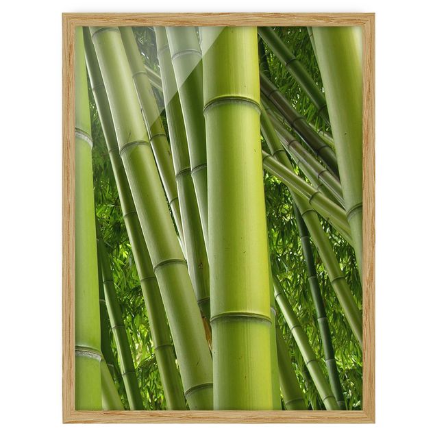 Obrazy w ramie do łazienki Drzewa bambusowe Nr 2