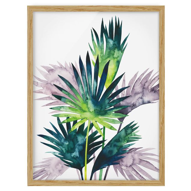 Obrazy w ramie do kuchni Egzotyczne liście - Fan Palm