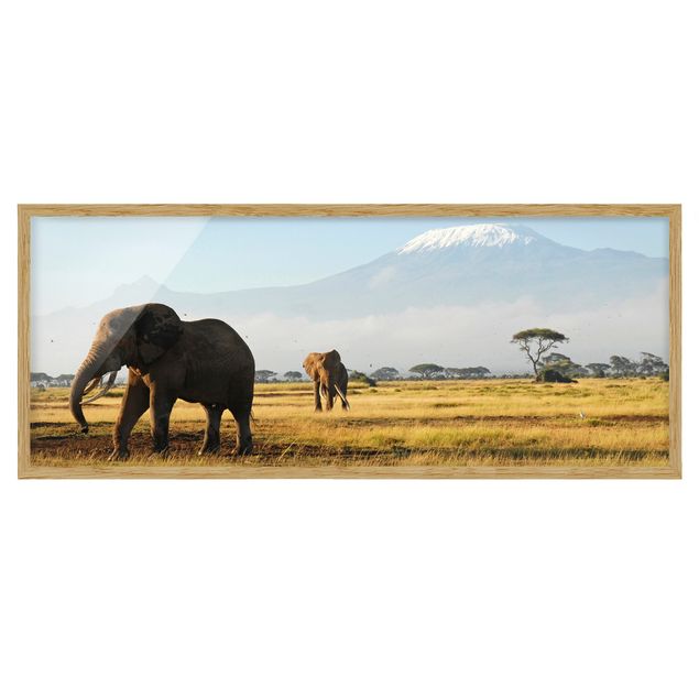Obrazy w ramie do korytarzu Słonie na tle Kilimandżaro w Kenii