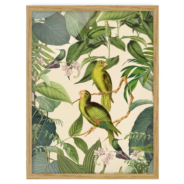 Obrazy w ramie do kuchni Kolaże w stylu vintage - Papugi w dżungli