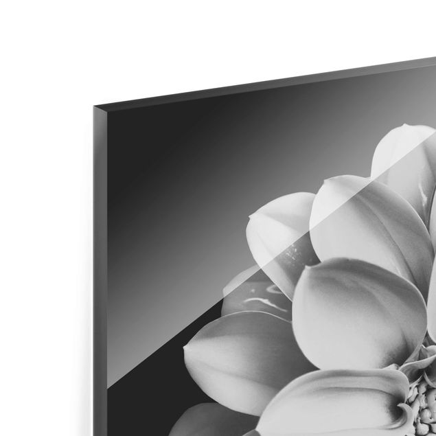 Obrazy z motywem kwiatowym Dahlia czarno-biały