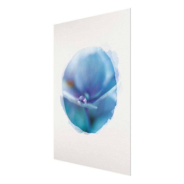 Obrazy motywy kwiatowe Akwarele - Kropla wody Kwiat hortensji