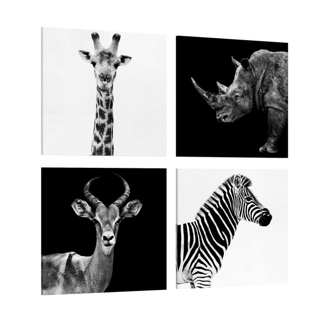 Obrazy zwierzęta Kwartet Safari
