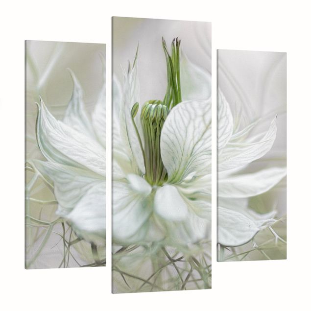 Obrazy z motywem kwiatowym Biała Nigella