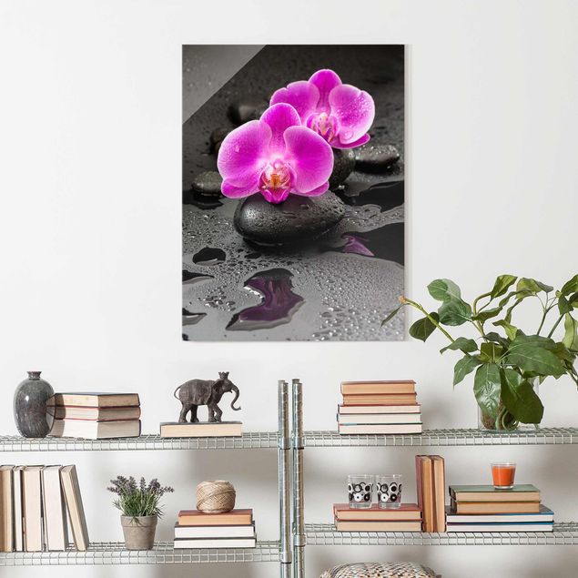 Dekoracja do kuchni Kwiaty różowej orchidei na kamieniach z kroplami