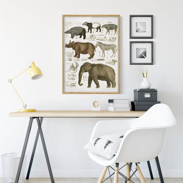 Obrazy słoń Tablica edukacyjna w stylu vintage Słonie, zebry i nosorożce