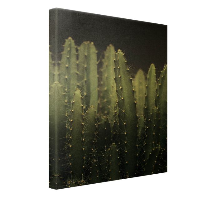Złoty obraz na płótnie - Kaktus pustynny nocą