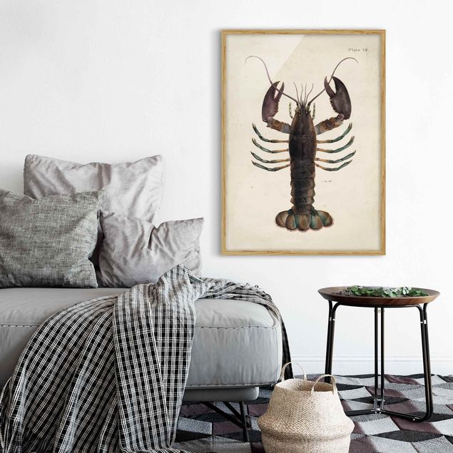 Obrazy w ramie do łazienki Ilustracja homara w stylu vintage