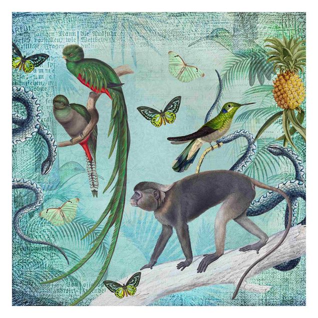 Andrea Haase obrazy  Kolaże w stylu kolonialnym - małpy i rajskie ptaki