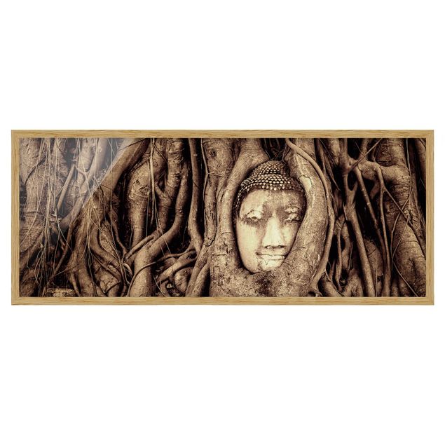 Obrazy w ramie do łazienki Budda w Ayutthaya otoczony korzeniami drzew w kolorze brązowym