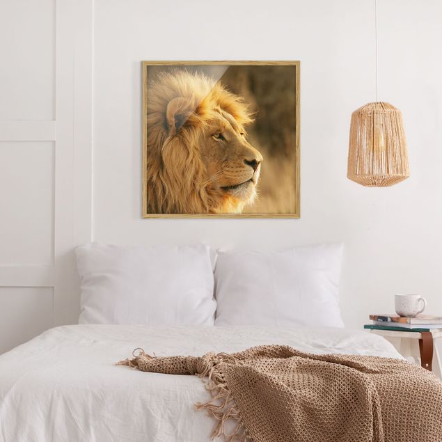 Obrazy w ramie do łazienki Król lew