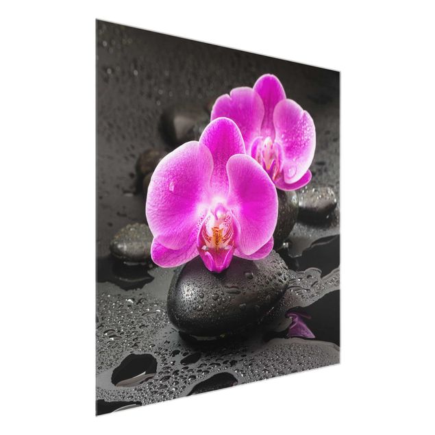 Obrazy na szkle kwadrat Kwiaty różowej orchidei na kamieniach z kroplami