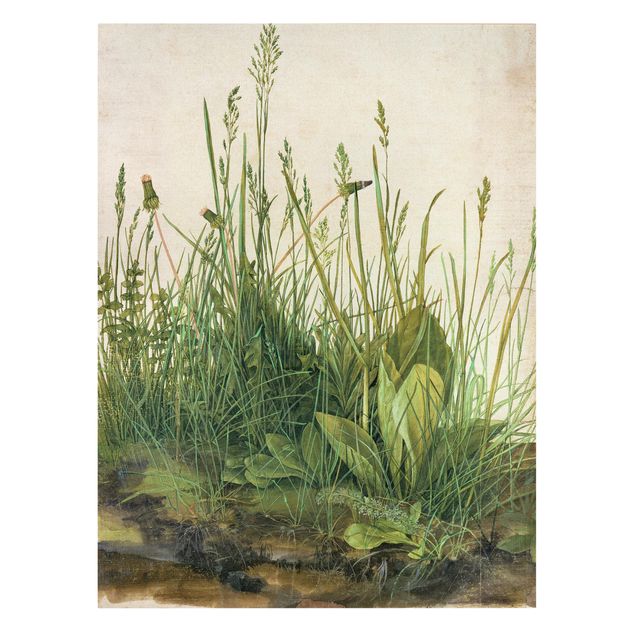 Retro obrazy Albrecht Dürer - Wielki kawałek trawy