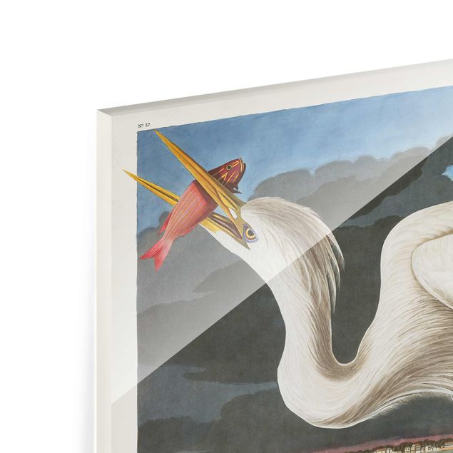 Obrazy retro Tablica edukacyjna w stylu vintage Duża Czapla biała