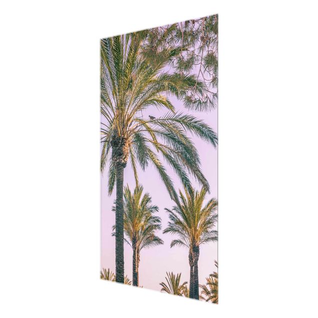 Obrazy na ścianę krajobrazy Palmy w promieniach zachodzącego słońca