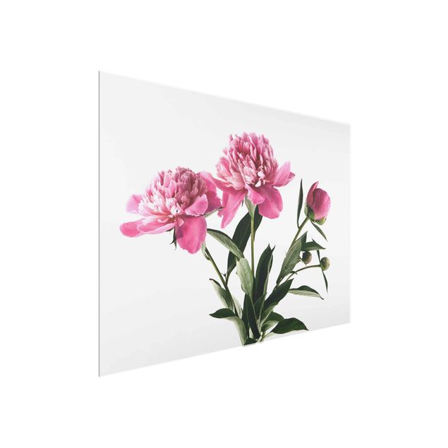 Obrazy na szkle poziomy Kwiaty i pąki różowe na białym tle