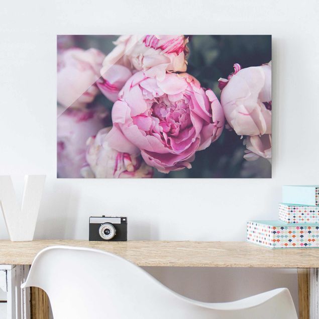 Obrazy z motywem kwiatowym Peony Blossom Shabby