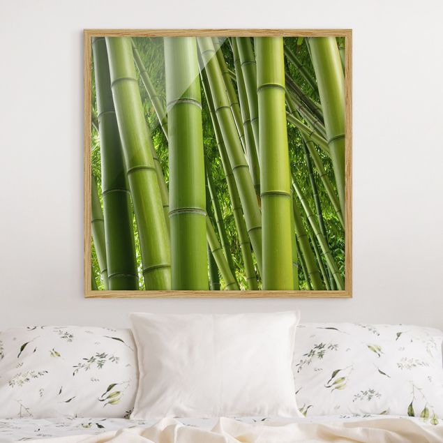 Obrazy w ramie krajobraz Drzewa bambusowe