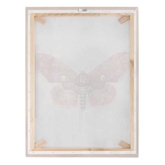 Obrazy artystów Vintage Moth