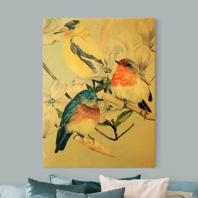 Zwierzęta obrazy Kolorowe ptaki na gałązce magnolii II