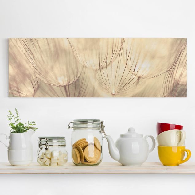 Obrazy do salonu nowoczesne Zbliżenie na mniszki lekarskie w domowym zaciszu w tonacji sepii
