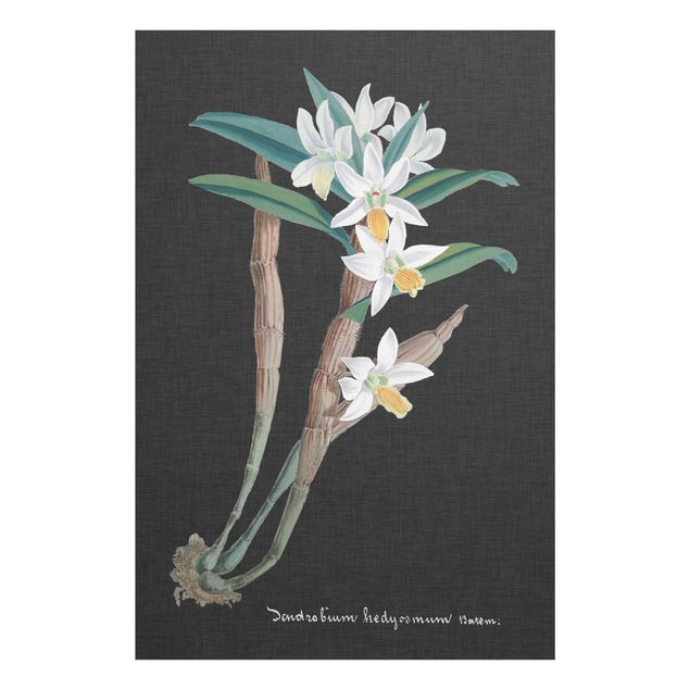 Obraz vintage Biała orchidea na lnie I